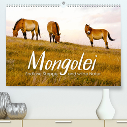 Mongolei – Endlose Steppe und wilde Natur. (Premium, hochwertiger DIN A2 Wandkalender 2023, Kunstdruck in Hochglanz) von SF