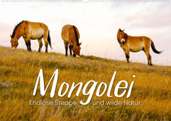 Mongolei – Endlose Steppe und wilde Natur. (Wandkalender 2024 DIN A2 quer), CALVENDO Monatskalender von Monkey,  Happy