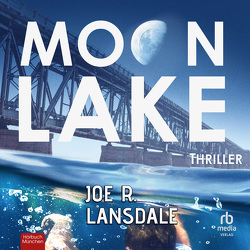 Moon Lake – Eine verlorene Stadt: Thriller von Landskale,  Joe, Mainka,  Régis