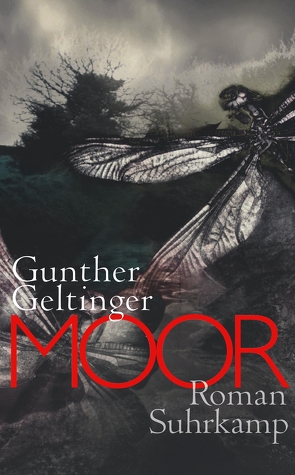 Moor von Geltinger,  Gunther