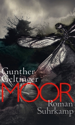 Moor von Geltinger,  Gunther