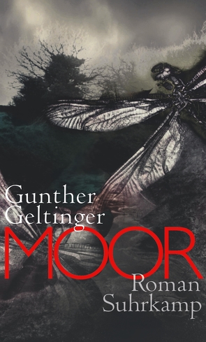 Moor von Geltinger,  Gunther