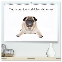 Mops – unwiderstehlich und charmant (hochwertiger Premium Wandkalender 2024 DIN A2 quer), Kunstdruck in Hochglanz von Verena Scholze,  Fotodesign