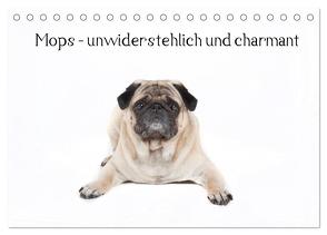 Mops – unwiderstehlich und charmant (Tischkalender 2024 DIN A5 quer), CALVENDO Monatskalender von Verena Scholze,  Fotodesign
