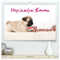 Mopswelpe Emma (hochwertiger Premium Wandkalender 2024 DIN A2 quer), Kunstdruck in Hochglanz von Tiller,  Sophie