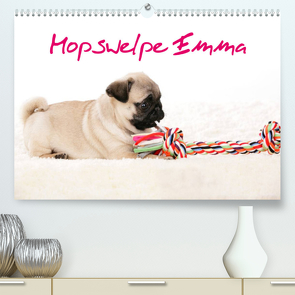 Mopswelpe Emma (Premium, hochwertiger DIN A2 Wandkalender 2023, Kunstdruck in Hochglanz) von Tiller,  Sophie