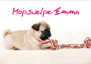 Mopswelpe Emma (Wandkalender 2023 DIN A2 quer) von Tiller,  Sophie