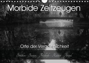 Morbide Zeitzeugen – Orte der Vergänglichkeit (Wandkalender 2019 DIN A4 quer) von Felber / Foto Augenblicke,  Monika