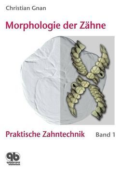 Morphologie der Zähne von Gnan,  Christian