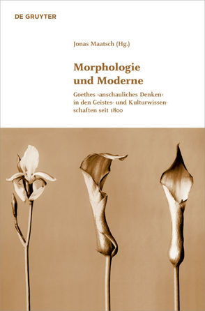 Morphologie und Moderne von Maatsch,  Jonas