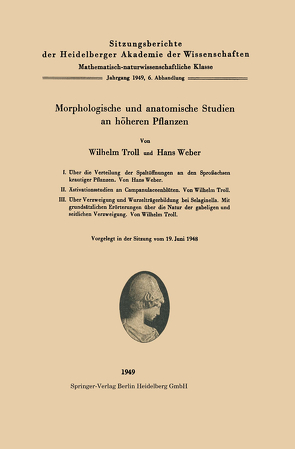 Morphologische und anatomische Studien an höheren Pflanzen von Troll,  W., Weber,  H.