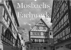 Mosbachs Fachwerk (Wandkalender 2022 DIN A2 quer) von Flori0