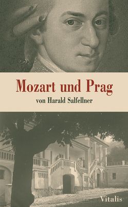 Mozart und Prag von Salfellner,  Harald