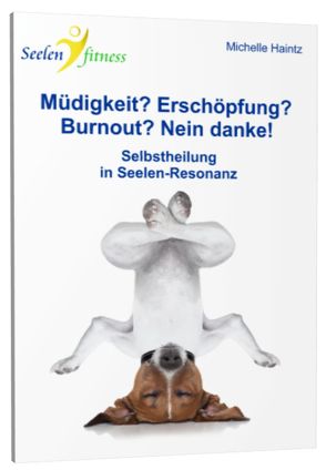 Müdigkeit? Erschöpfung? Burnout? Nein danke! von Haintz,  Dr. Michelle