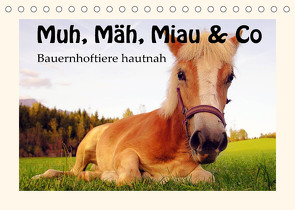 Muh, Mäh, Miau & Co (Tischkalender 2022 DIN A5 quer) von Leon