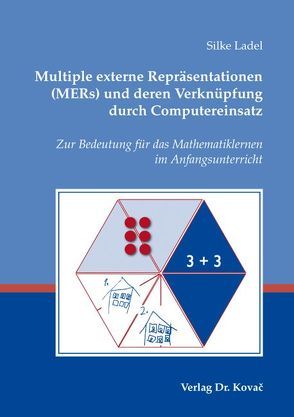 Multiple externe Repräsentationen (MERs) und deren Verknüpfung durch Computereinsatz von Ladel,  Silke