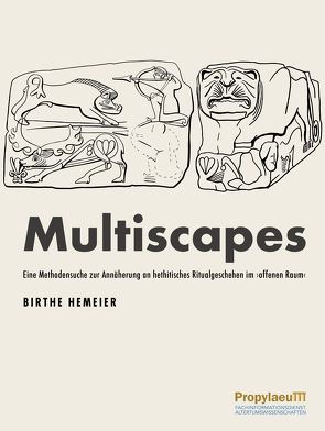 Multiscapes von Hemeier,  Birthe