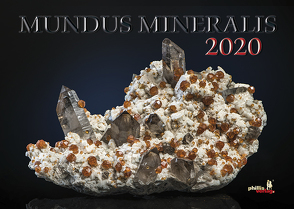 MUNDUS MINERALIS 2020 von Neubert,  Jörg, PhillisVerlag GmbH