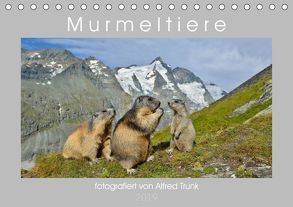 MurmeltiereAT-Version (Tischkalender 2019 DIN A5 quer) von Trunk,  Alfred