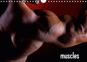 muscles (Wandkalender 2019 DIN A4 quer) von Mende,  Marcel