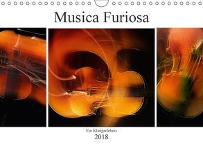 Musica Furiosa (Wandkalender 2018 DIN A4 quer) von Kraetschmer,  Marion