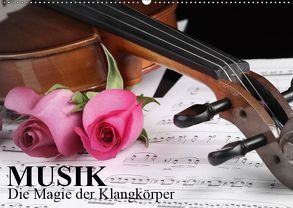 Musik – Die Magie der Klangkörper (Wandkalender 2019 DIN A2 quer) von Stanzer,  Elisabeth