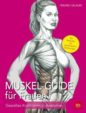 Muskel Guide für Frauen von Delavier,  Frédéric