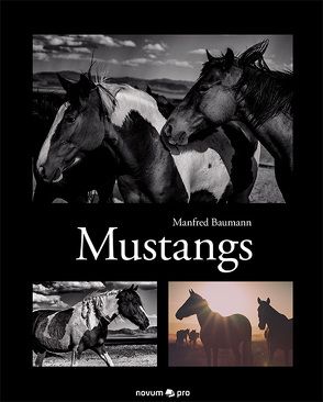 Mustangs von Baumann,  Manfred