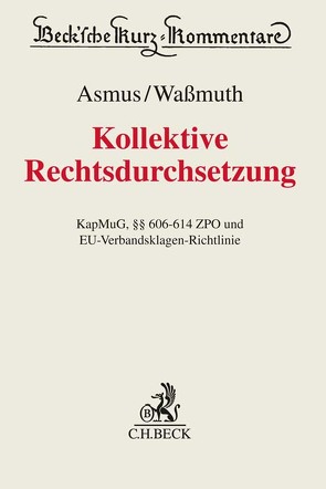 Kollektive Rechtsdurchsetzung von Asmus,  Thomas, Beckmann,  Martin J., Dörfler,  Roman, Hirsch,  Günter, Kähler,  Lorenz, Rathmann,  Jens, Rummel,  Alexander von, Scherber,  Nina, Siegmann,  Matthias, Waßmuth,  Guido, Zypries,  Brigitte