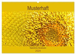 Musterhaft – Natürliche Strukturen (Wandkalender 2024 DIN A2 quer), CALVENDO Monatskalender von Bölts,  Meike