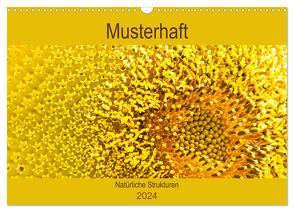 Musterhaft – Natürliche Strukturen (Wandkalender 2024 DIN A3 quer), CALVENDO Monatskalender von Bölts,  Meike