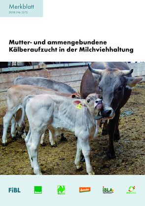 Mutter- und ammengebundene Kälberaufzucht in der Milchviehhaltung von Ivemeyer,  Silvia, Schneider,  Claudia, Spengler Neff,  Anet