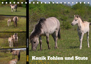 Mutterliebe – Konik Fohlen und Stute (Tischkalender 2023 DIN A5 quer) von Paul - Babett's Bildergalerie,  Babett