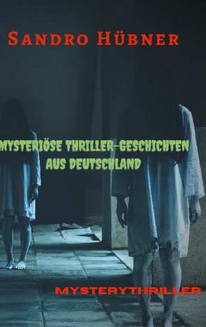 Mysteriöse Thriller-Geschichten aus Deutschland von Hübner,  Sandro