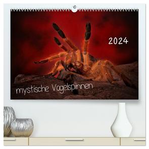 Mystische Vogelspinnen (hochwertiger Premium Wandkalender 2024 DIN A2 quer), Kunstdruck in Hochglanz von Baderschneider,  Horst