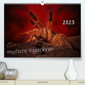 Mystische Vogelspinnen (Premium, hochwertiger DIN A2 Wandkalender 2023, Kunstdruck in Hochglanz) von Baderschneider,  Horst