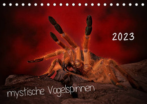 Mystische Vogelspinnen (Tischkalender 2023 DIN A5 quer) von Baderschneider,  Horst