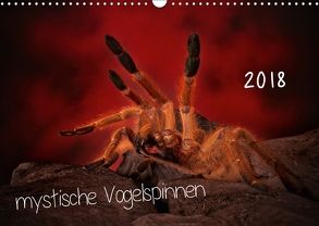 Mystische Vogelspinnen (Wandkalender 2018 DIN A3 quer) von Baderschneider,  Horst