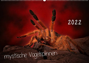 Mystische Vogelspinnen (Wandkalender 2022 DIN A2 quer) von Baderschneider,  Horst