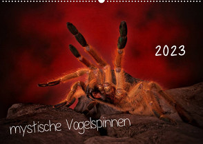 Mystische Vogelspinnen (Wandkalender 2023 DIN A2 quer) von Baderschneider,  Horst