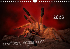 Mystische Vogelspinnen (Wandkalender 2023 DIN A4 quer) von Baderschneider,  Horst