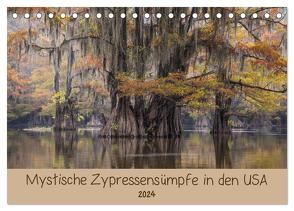 Mystische Zypressensümpfe (Tischkalender 2024 DIN A5 quer), CALVENDO Monatskalender von Jordan,  Sonja