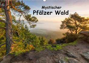 Mystischer Pfälzer Wald (Wandkalender 2023 DIN A2 quer) von Leicht,  Bernd