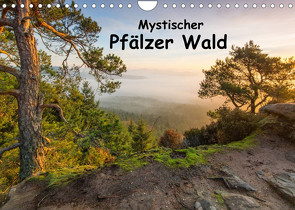 Mystischer Pfälzer Wald (Wandkalender 2023 DIN A4 quer) von Leicht,  Bernd