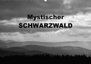 Mystischer Schwarzwald (Wandkalender 2019 DIN A2 quer) von Linderer,  Günter