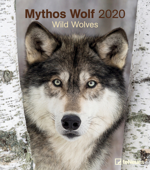 Mythos Wolf 2020