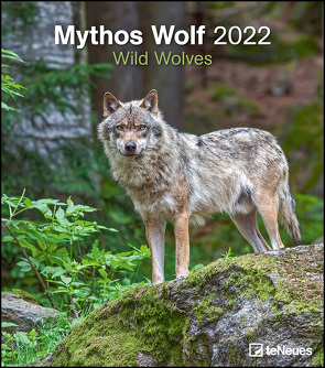 Mythos Wolf 2022 – Foto-Kalender – Wand-Kalender – 30×34