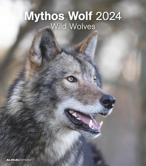 Mythos Wolf 2024 – Foto-Kalender – Wand-Kalender – 30×34