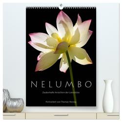 N E L U M B O – Zauberhafte Ansichten der Lotosblüte (hochwertiger Premium Wandkalender 2024 DIN A2 hoch), Kunstdruck in Hochglanz von Herzog,  www.bild-erzaehler.com,  Thomas