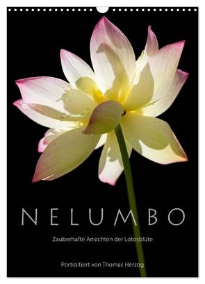 N E L U M B O – Zauberhafte Ansichten der Lotosblüte (Wandkalender 2024 DIN A3 hoch), CALVENDO Monatskalender von Herzog,  www.bild-erzaehler.com,  Thomas